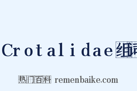 Crotalidae组词是什么意思的图片